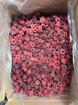 frozen raspberries Color Red Purity 95/5 Form Pitted Texture Frozen Origin Uzbekistan Address Uzbekistan Flavor Profile Sour - Freeze Dried Fruit LTD - Uzbekistan