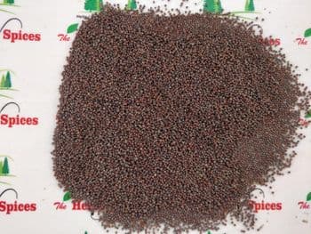 Black Mustard Seeds - Sinhal Herbs  - India