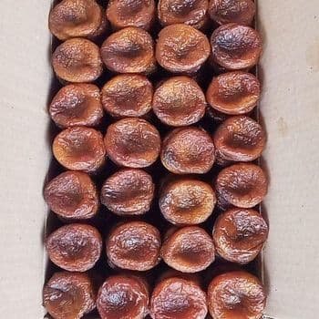dried apricot Packaging box Texture Chewy Type dried apricot Color Vibrant Orange Flavor Natural Sweet Manufacturer Uzbekistan - Freeze Dried Fruit LTD - Uzbekistan