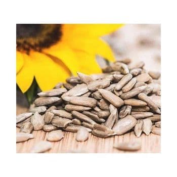 Sunflower Seeds discount price bulk supply fast delivery premium seeds Bulk supply Sunflower Seeds - MASI TRADING GMBH - Germany