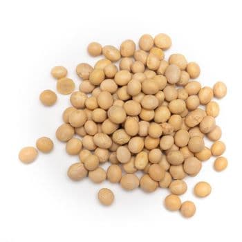 Wholesale Supplier Of Premium Organic Soya Beans in Bulk Grade A Packaging Bulk Purity 100% Organic, Non-gmo Form Dried Or Unhulled Beans, Whole - Porcosta, LDA - Portugal