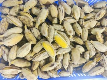 Frozen steam banana Grade A Texture Steamed Place of Origin Vietnam Type Frozen Steam Banana Storage Temperature -18C, -18c - HAO QUANG COCONUT ONE MEMBER COMPANY LIMITED - Vietnam