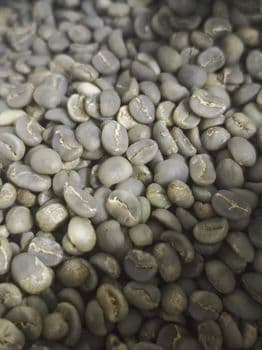 Luwak Coffee Arabica Organic No Decaffeinated No Bean Type Arabica Degree of Processing Raw - PT. Najah Sejahtera Production - Indonesia