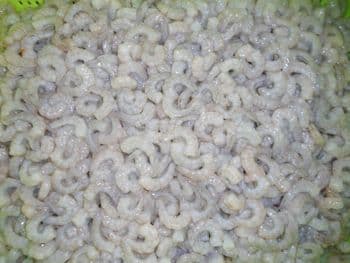 IQF frozen vannamei shrimp PUD PD Grade A Port XIAMEN Taste SWEAT Form Shrimp Appearance White Variety VANNAMEI Packaging bag/ctn - 龙海市格林水产有限公司 - China