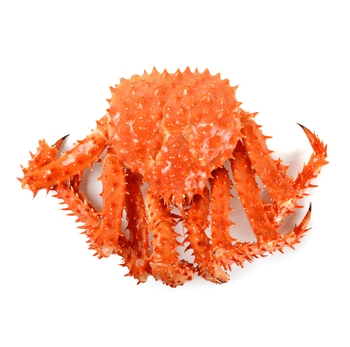 Best Price Jumbo Red King Crab Legs | Frozen Fresh King Crabs Available - Exigentelaxia Unipessoal Lda - Portugal