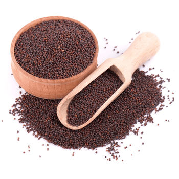 High-Quality Wholesale Mustard Seeds | Pure Natural Mustard Seeds for Cooking Oil Production, Spice Blends, Seasoning, Agricultural Use, and Food Processing Industries with Reliable Worldwide Supply - agroturaspzoo - Poland