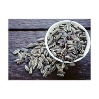 Cheap price Sunflower Seeds bulk supply fast delivery wholesale nutritious snack Low price Sunflower Seeds - MASI TRADING GMBH - Germany