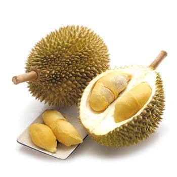 Fresh Durian Naturally Grown Whole Fruit Featuring Rich Creamy Pulp And Reliable Export Supply For International Buyers - TOSOH INTERNATIONAL - South Africa