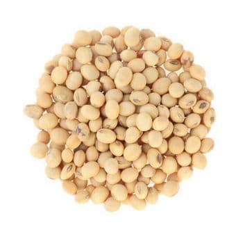 soybeans available at wholesale price for food distributors and global exporters - MASI TRADING GMBH - Germany