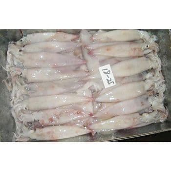 Frozen Squid Processed Marine Seafood For Restaurant Ingredient Sourcing Frozen Food Distributors And Export Markets - TOSOH INTERNATIONAL - South Africa