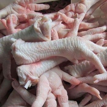 High Quality Organic Grade Nutritious Chicken Leg Body Part Wholesale Prices Fresh Frozen Halal Chicken Feet/Paws Vitamins Bulk - Carla Pisselli Commercio - Brazil
