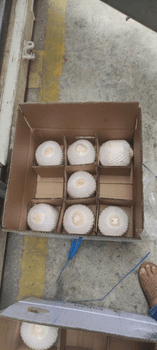Diamond Shape Fresh Coconuts Origin Vietnam Shape Diamond Shape Packaging 9 Coconuts/Box Degree of Processing Fresh Flavor Natural Coconut Flavor - Phu Cuong Export Import Services Consultance Trading - Vietnam