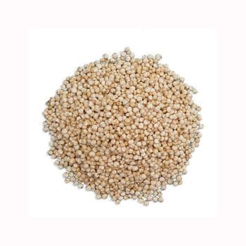 Wholesale Supplier Of Bulk Fresh Stock of Organic Seeds White Quinoa Grains Health care Grains - Mundus Exports Pty Ltd - South Africa