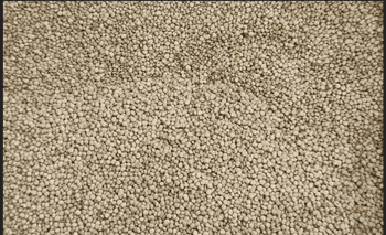Quinoa bold white - Puresaiens Health Private Limited - India