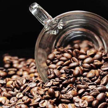 Arabica Coffee Bean Premium Coffee Harvest With Clean Processing Methods And Strong International Buyer - TOSOH INTERNATIONAL - South Africa