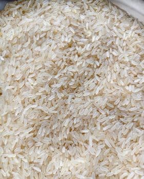Rice, Spices, Pulses Color White Length 8.35mm Moisture Content 12% Broken Percentage - Shree Balaji Exim International - India