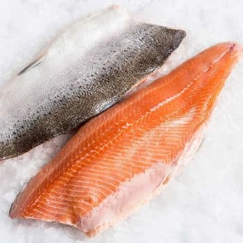 Frozen Salmon Fish Fresh Frozen Ocean Product Delivering Authentic Taste Experience For Seafood Import Distribution - TOSOH INTERNATIONAL - South Africa