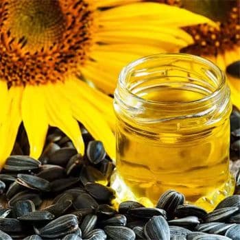 Natural Sunflower Oil Rich Taste And Smooth Texture Perfect For Frying Baking And Daily Kitchen Use - Carla Pisselli Commercio - Brazil
