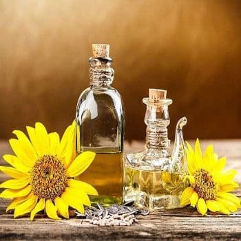 Fast Delivery Premium Quality Organic Plant Seed Pressed Fractionated Refined Sunflower Oil Vacuum Pack for Cooking - Carla Pisselli Commercio - Brazil