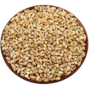 All Major Commoditiesfrozenchickenexports.com - AGROSTREAM EXPORTS AND IMPORTS PTY LTD - South Africa