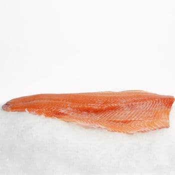 Fresh Salmon Fillet Superior Quality Seafood Choice For Catering Providers Food Distributors And Import Markets - TOSOH INTERNATIONAL - South Africa