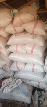 Grade A: white Pigeon pea Organic Yes Origin Nigeria Packaging Size 100kg Degree of Processing Dried - Zaddi - Nigeria