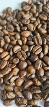Coffee bean Bean Type Arabica Degree of Processing Raw - Global Coffee Traders LLC - Vietnam