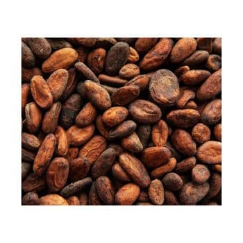 High grade cocoa beans for export and international food markets Organic cocoa beans produced without chemicals or artificial additives Fermented cocoa beans with strong flavor and superior quality Sun dried cocoa beans for long shelf life and easy storage - SATTER FOOD AND BEVERAGE - Netherlands