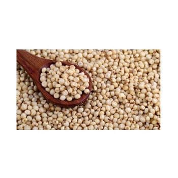 Wholesale sorghum grains bulk available for flour and beverage industries - MASI TRADING GMBH - Germany