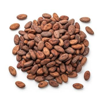 98% Clean Cocoa Bean With Carefully Sorted Lots And Strong Quality Assurance For Professional Import Buyers - TOSOH INTERNATIONAL - South Africa