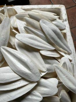 Vietnam Natural Dried Cuttlefish Bone Squid Aquarium Bulk Wholesale Supply - Viet D.E.L.T.A Industrial Co.Ltd. - Vietnam