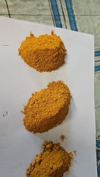 Turmeric powder Delivery Form Sacks Freshness Level Dried Features Fair Trade, Gluten-Free, Halal, Organic, Vegan, Vegetarian - PT Nava Kartika Global - Indonesia