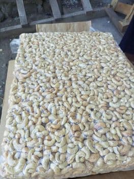 cashew nut Form Whole Organic Yes Origin Tanzania Degree of Processing Natural - Tanzania Agroflux and Rocks Ltd - Tanzania