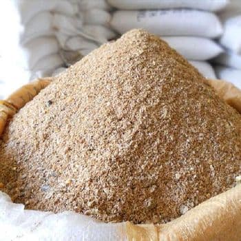 High Quality Wheat Bran Bulk Nigerian Origin Quality Highest Weight (kg) 50kg Port Apapa Lagos Features Gluten-Free Place of Origin nigeria - QTAWA INTERNATIONAL BUSINESS LTD - Nigeria