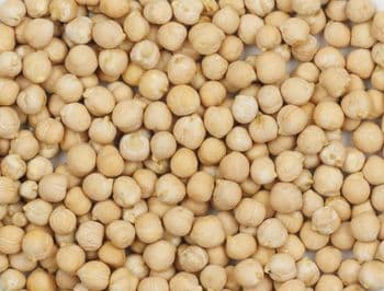 Chickpea Purity ≥ 98% Moisture ≤ 12% Foreign Matter ≤ 1% Broken Damaged Grains ≤ 2% Product Location South Africa Shelf Life 12 Months Under Cool, Dry - BF GLOBAL TRADING (PTY) LTD - South Africa