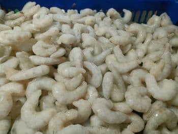 FROZEN VANNAMEI SHRIMP Form Raw Origin Indonesia Processing Type IQF Glazing Percentage 10% - 20% (adjustable) Species Litopenaeus Vannamei (whiteleg Shrimp) - Nau Indo supply - Indonesia