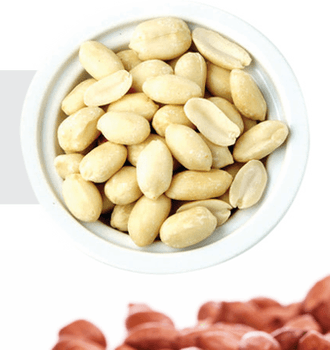 Blanched Peanuts - GHANSHYAM TRADERS - India