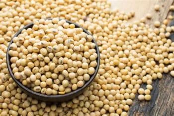 Soya beans Admixture Max 1% Moisture Max 13% Oil Content Min 18% Shelf Life 12 - 24 months Color Light Yellow / Yellow Protein Content Min 38% - 40% - Medilight global investment limited - Nigeria