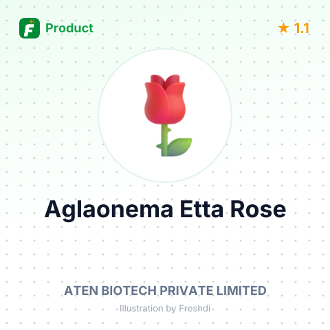 Aglaonema Etta Rose – summary card, no photo uploaded yet