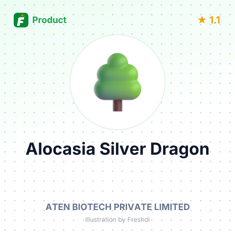 Alocasia Silver Dragon – summary card, no photo uploaded yet
