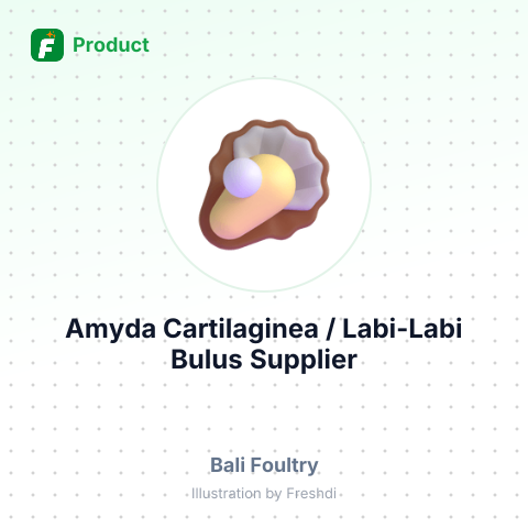 Amyda Cartilaginea / Labi-Labi Bulus – summary card, no photo uploaded yet