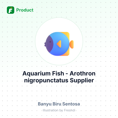 Aquarium Fish - Arothron nigropunctatus – summary card, no photo uploaded yet