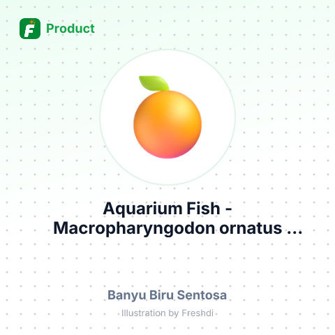 Aquarium Fish - Macropharyngodon ornatus – summary card, no photo uploaded yet