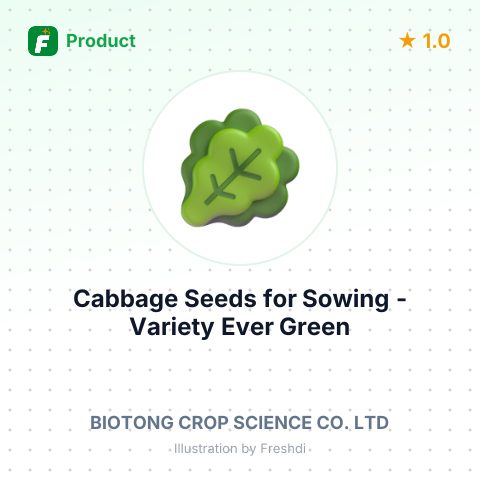 Cabbage Seeds for Sowing - Variety Ever Green – summary card, no photo uploaded yet