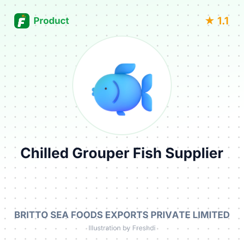 Chilled Grouper Fish – summary card, no photo uploaded yet