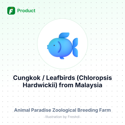 Cungkok / Leafbirds (Chloropsis Hardwickii) – summary card, no photo uploaded yet
