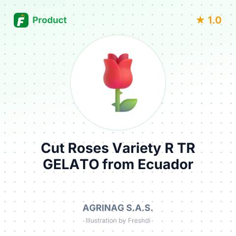 Cut Roses Variety R TR GELATO – summary card, no photo uploaded yet