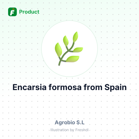 Encarsia formosa – summary card, no photo uploaded yet