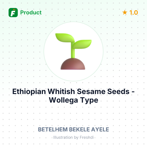 Ethiopian Whitish Sesame Seeds - Wollega Type – summary card, no photo uploaded yet