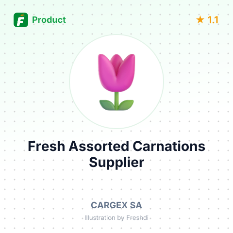 Fresh Assorted Carnations – summary card, no photo uploaded yet